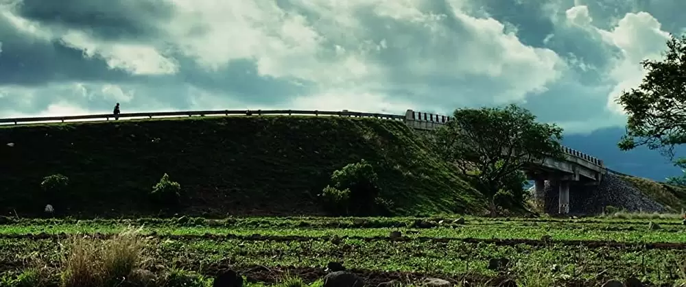 マイ・ボディガードの画像