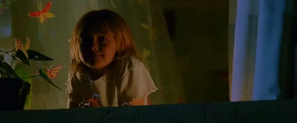 マイ・ボディガードの画像