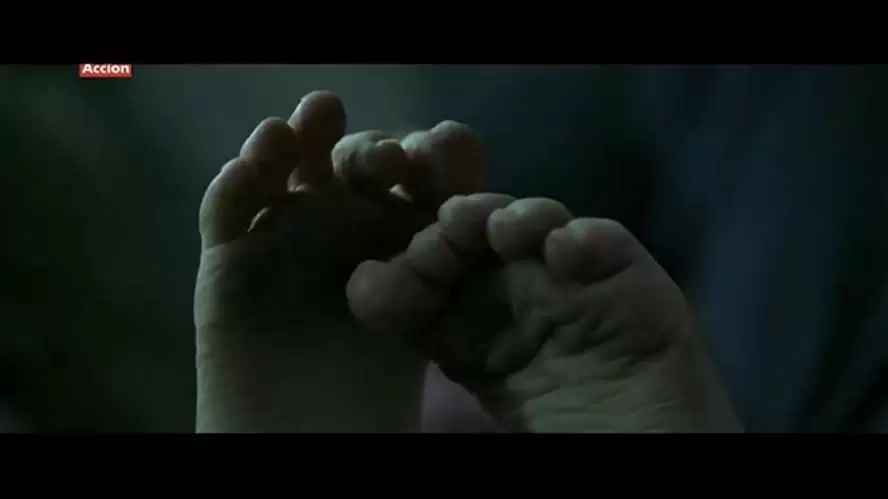 パニック・ルームの画像