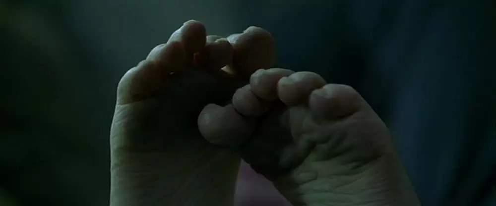 パニック・ルームの画像