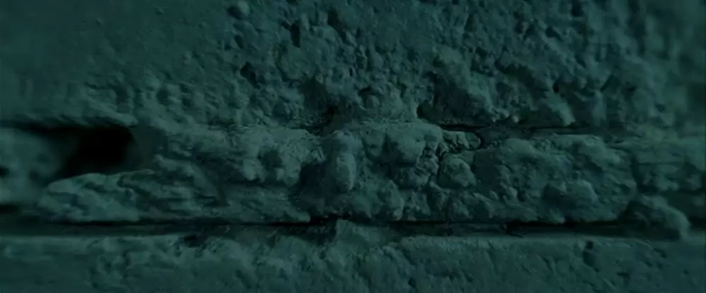 パニック・ルームの画像