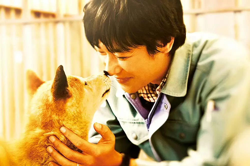 ひまわりと子犬の7日間の画像