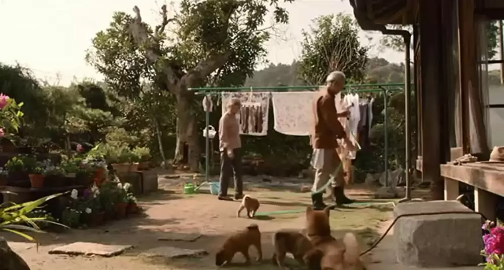 ひまわりと子犬の7日間の画像