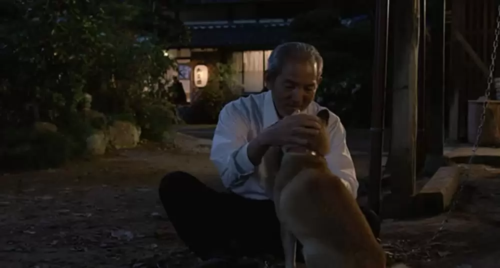 ひまわりと子犬の7日間の画像