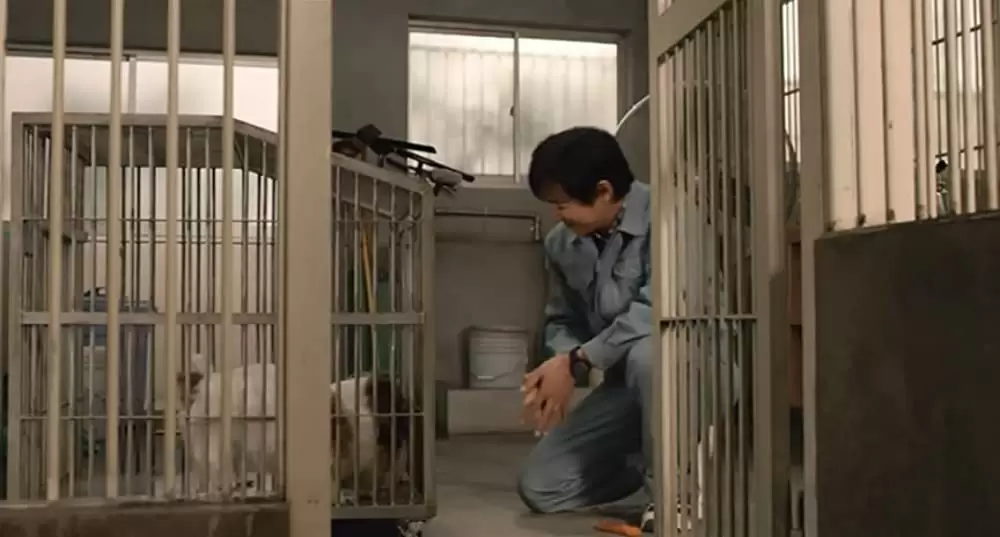 ひまわりと子犬の7日間の画像