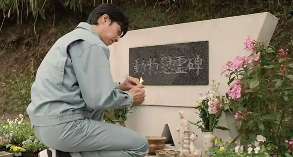 ひまわりと子犬の7日間の画像