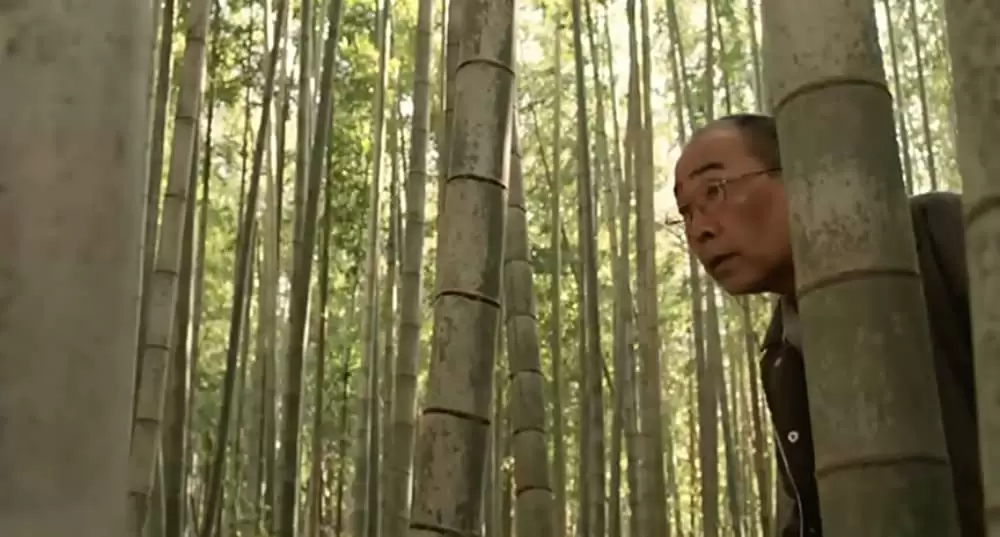 ひまわりと子犬の7日間の画像