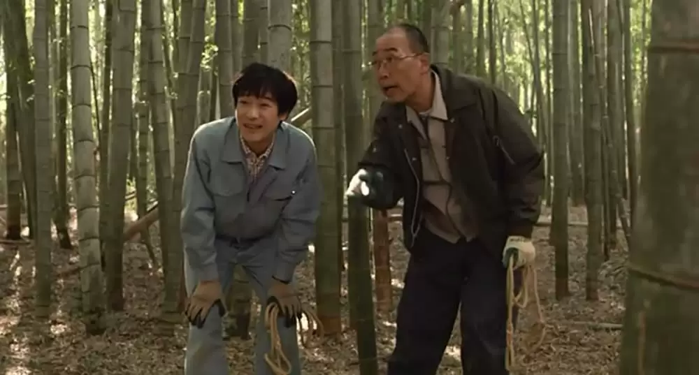 ひまわりと子犬の7日間の画像