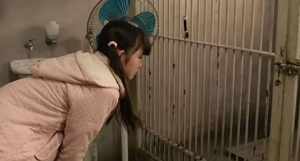 ひまわりと子犬の7日間の画像