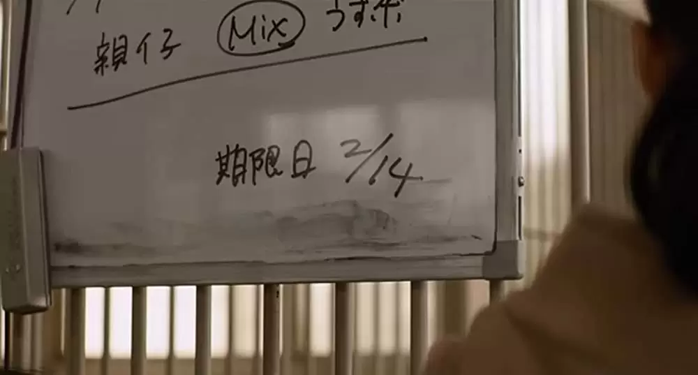 ひまわりと子犬の7日間の画像