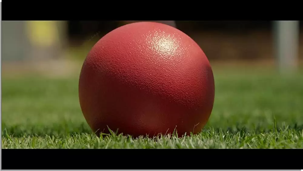 インターンシップの画像