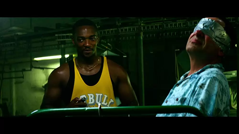 「ペイン＆ゲイン 史上最低の一攫千金」トニー・シャルーブ & アンソニー・マッキーの画像