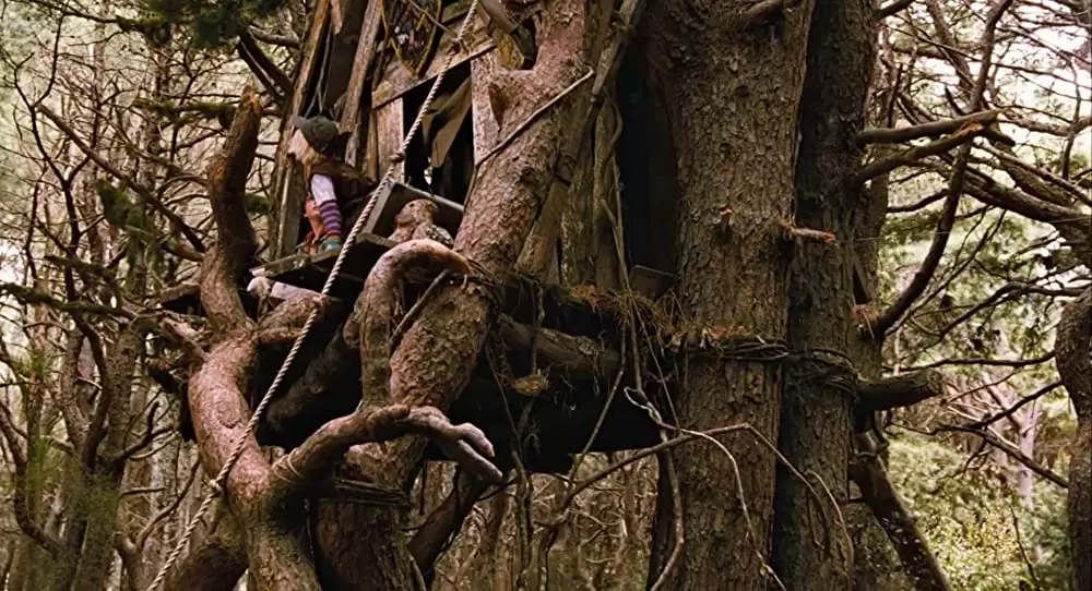 テラビシアにかける橋の画像