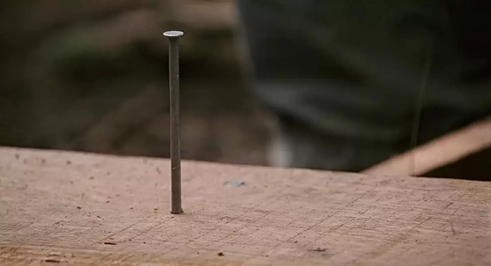 テラビシアにかける橋の画像