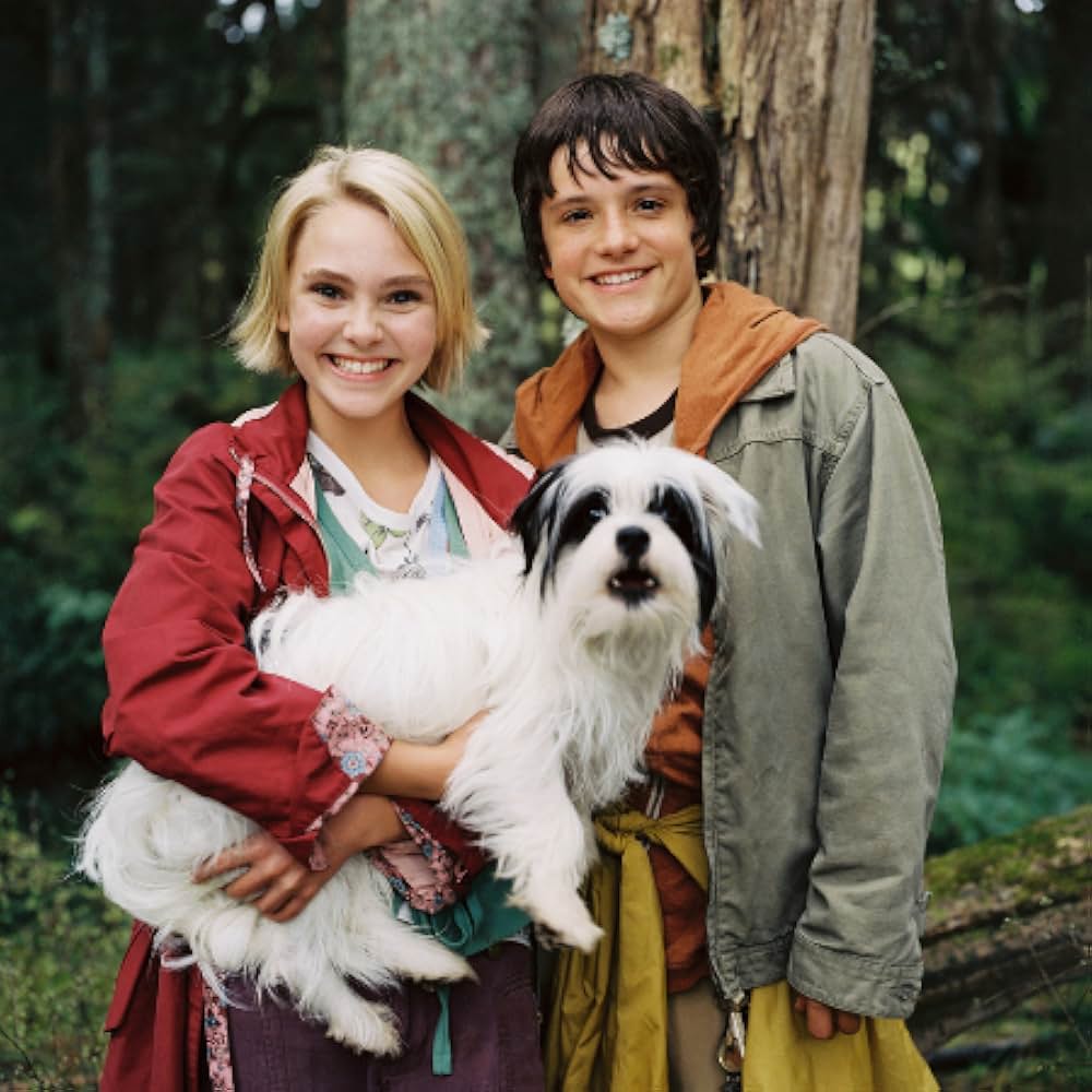 テラビシアにかける橋の画像