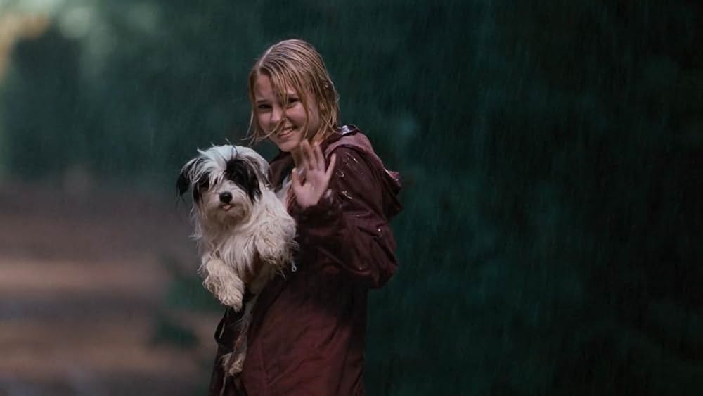 テラビシアにかける橋の画像