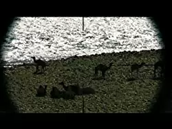 ザ・シューター／極大射程の画像