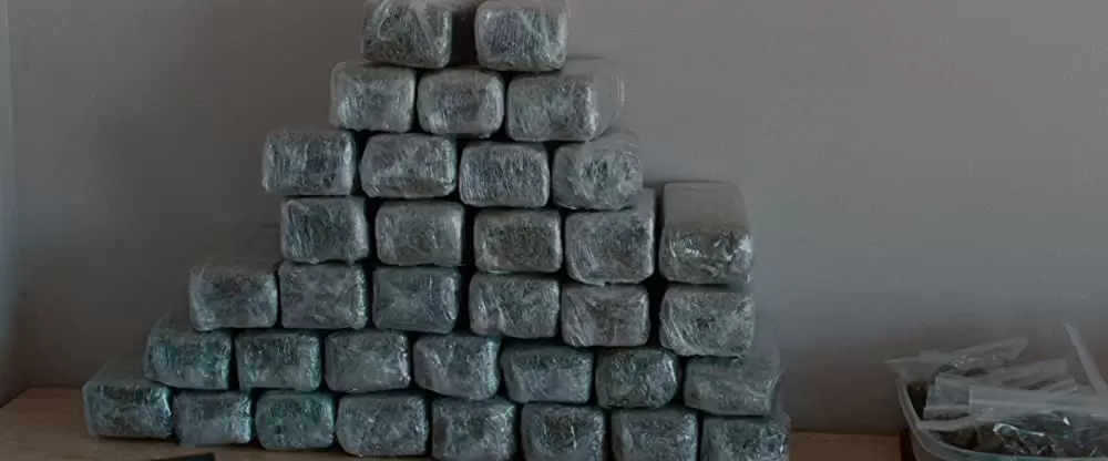 スプリング・ブレイカーズの画像