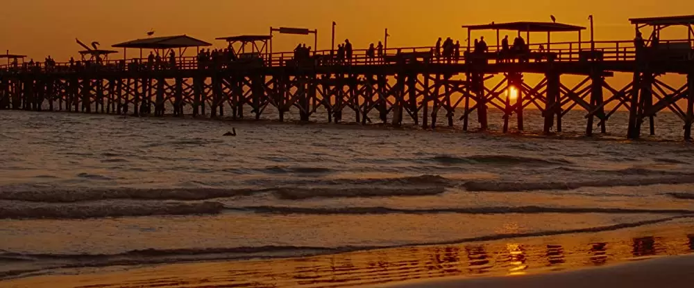 スプリング・ブレイカーズの画像