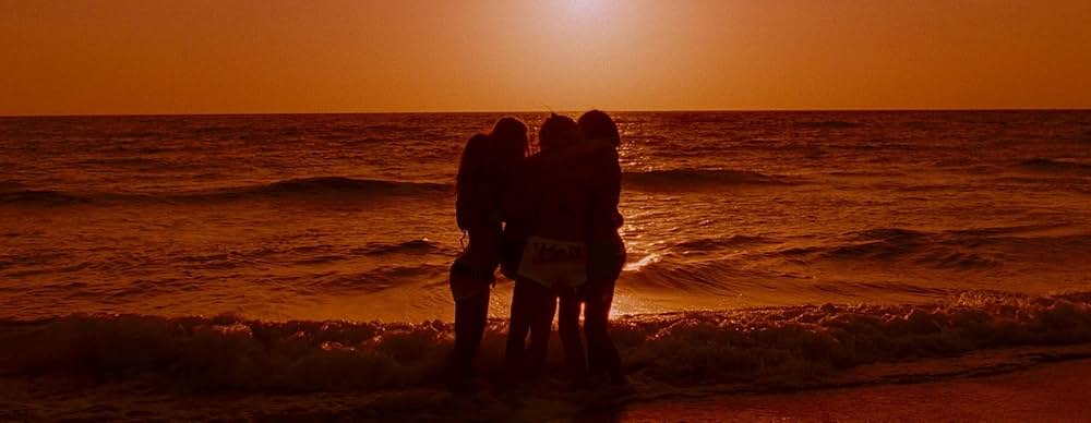 スプリング・ブレイカーズの画像