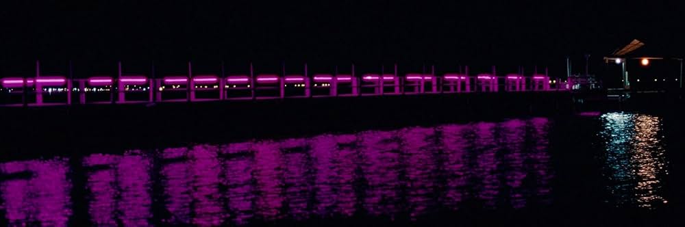 スプリング・ブレイカーズの画像