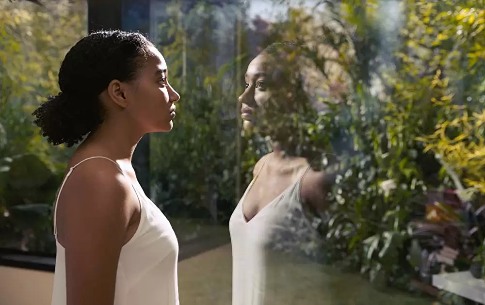 エブリシングの画像