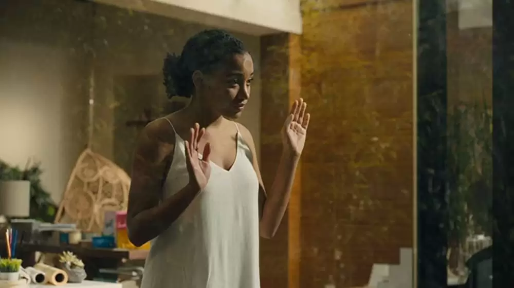 エブリシングの画像