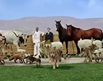 エバン・オールマイティの画像