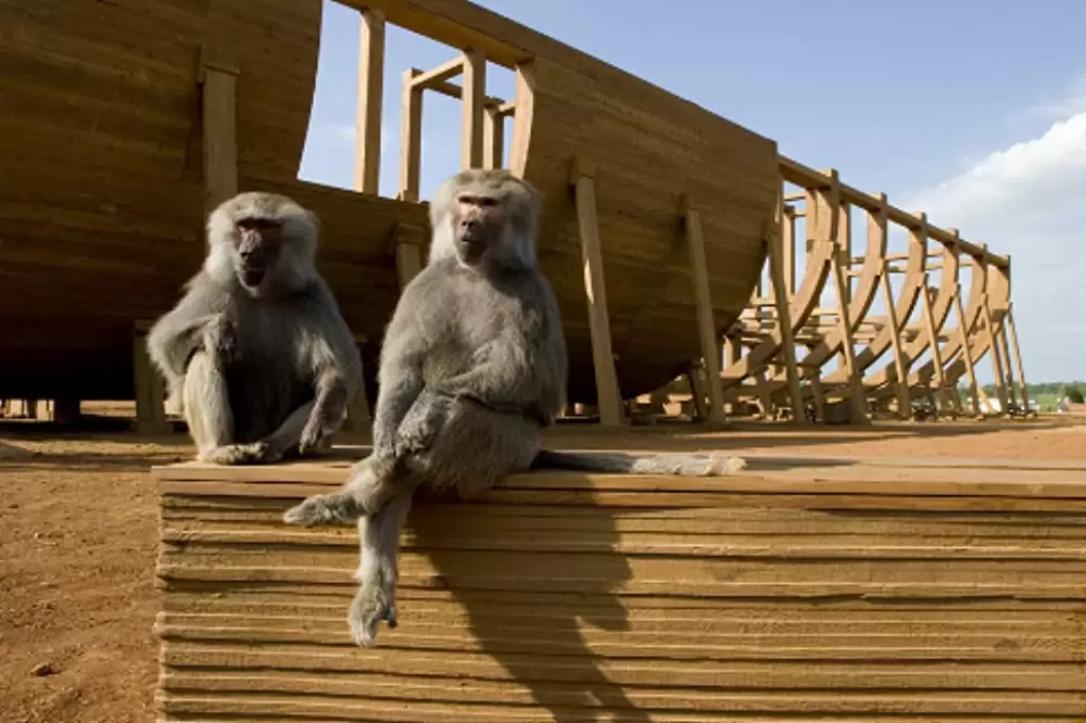 エバン・オールマイティの画像