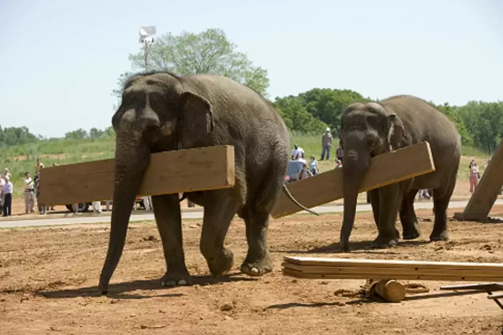 エバン・オールマイティの画像