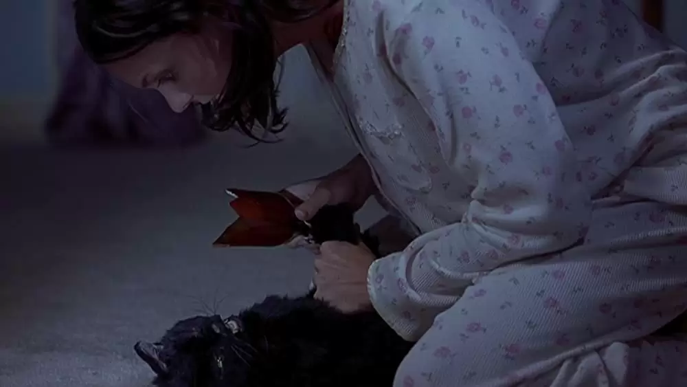 「最‘新’絶叫計画」アンナ・ファリスの画像