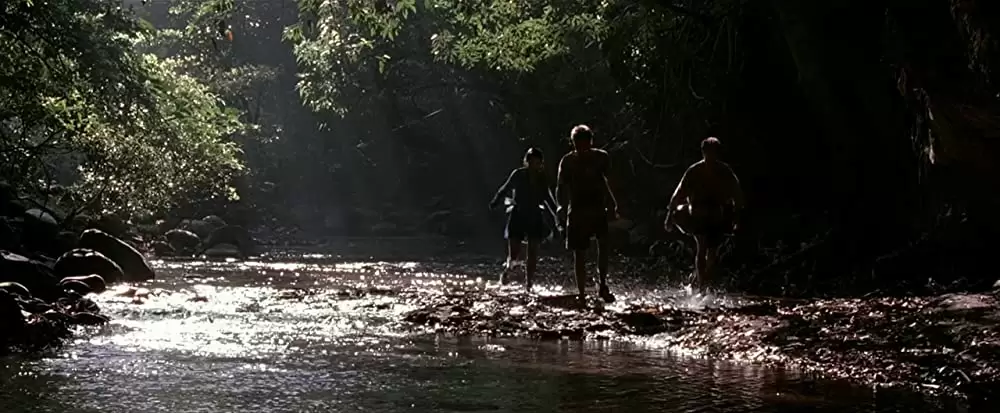 ザ・ビーチの画像