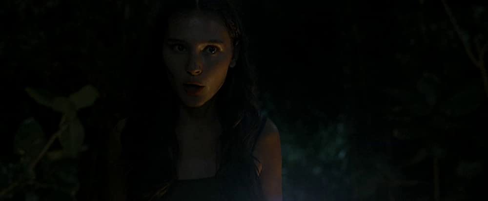 ザ・ビーチの画像