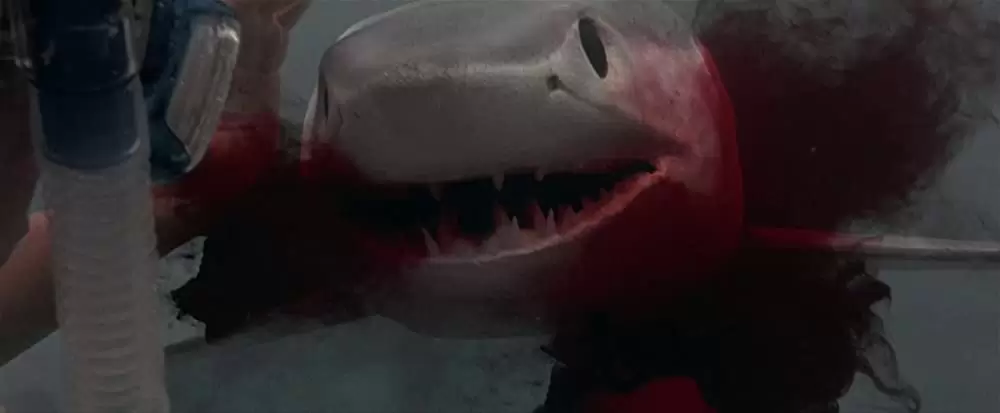 ザ・ビーチの画像