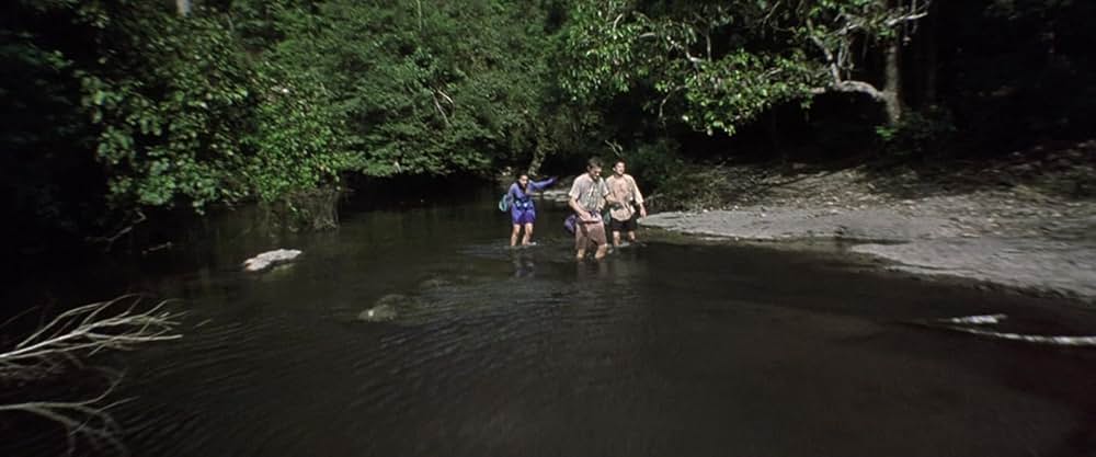 ザ・ビーチの画像