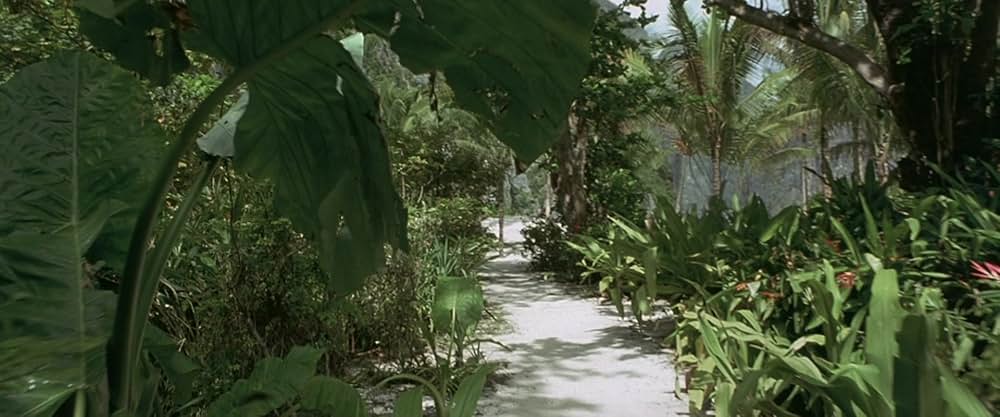 ザ・ビーチの画像