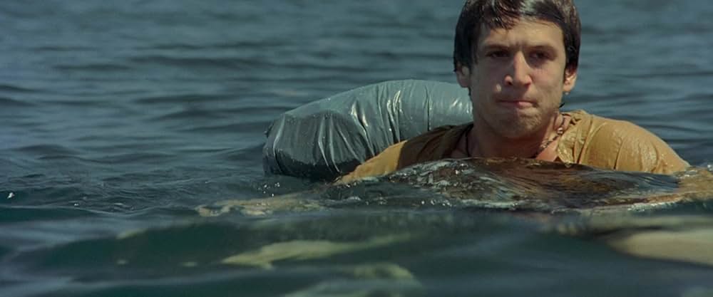 ザ・ビーチの画像