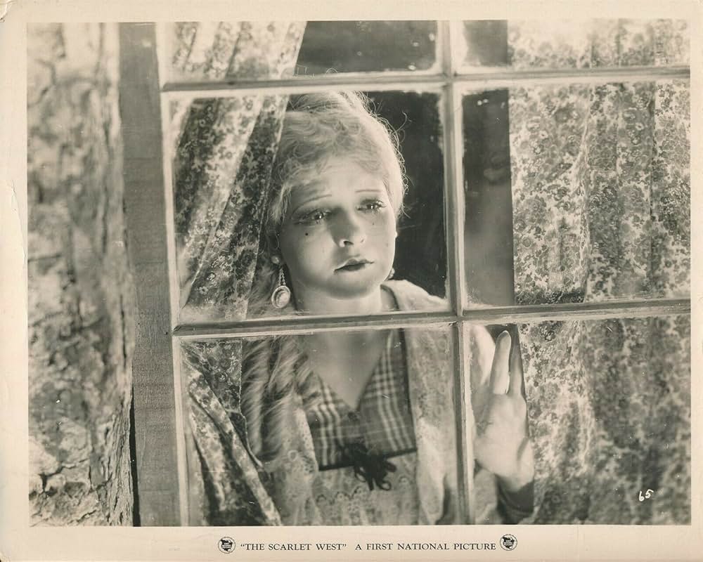 紅の大空の画像