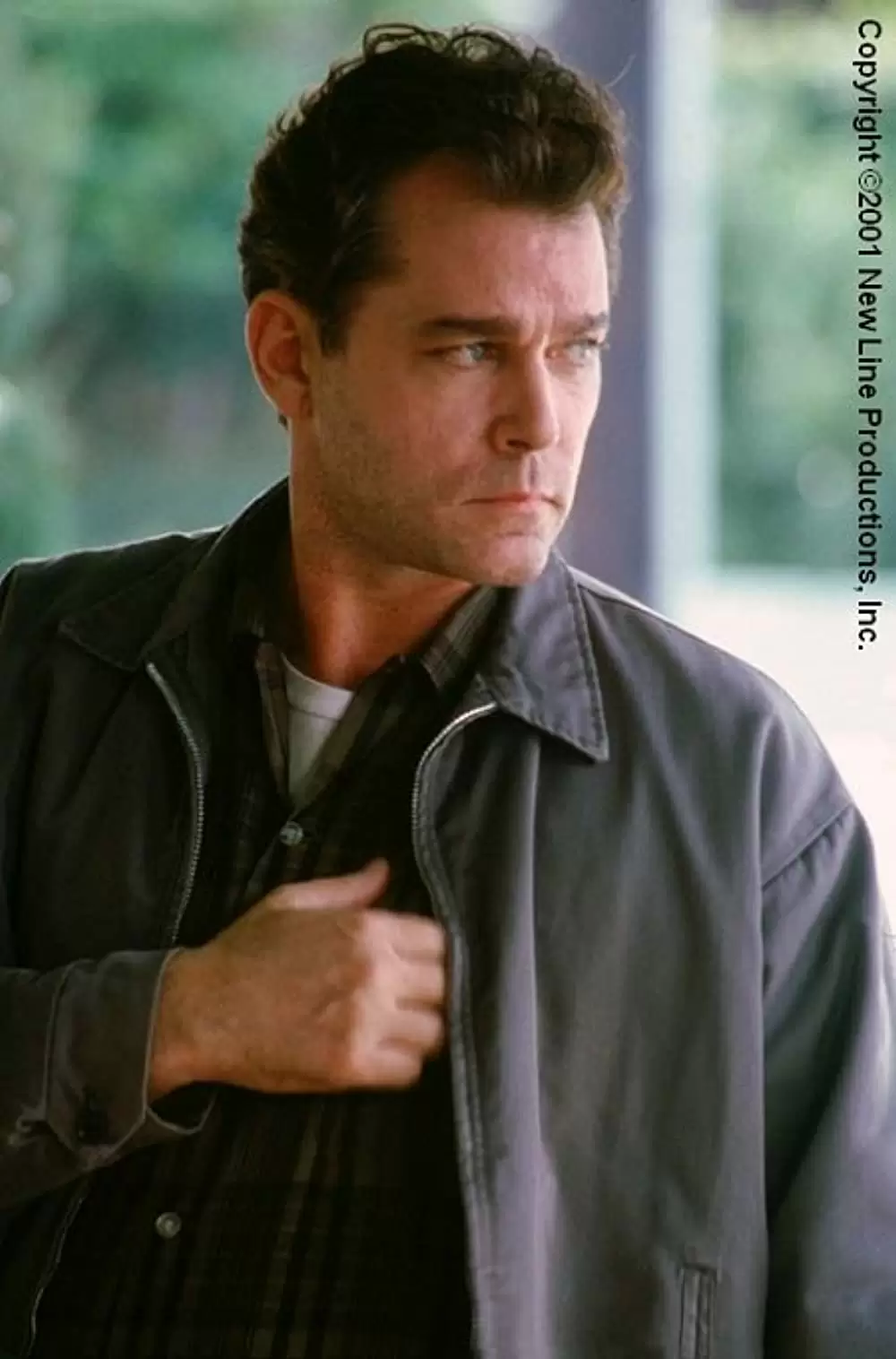 「ブロウ」レイ・リオッタの画像