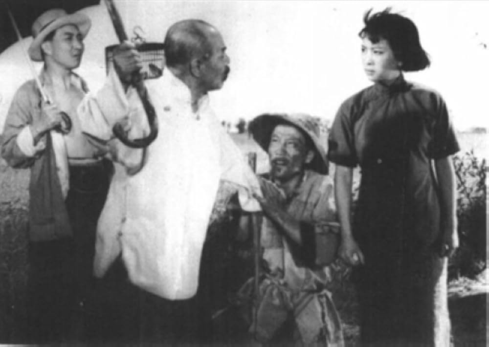 青春の歌の画像