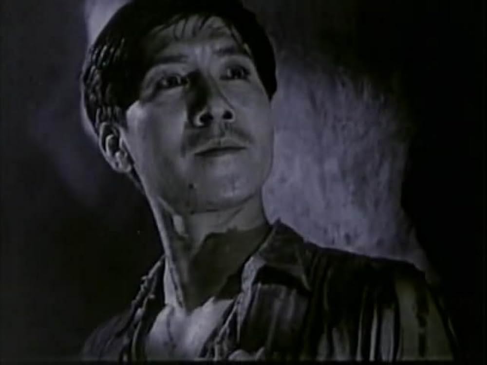 青春の歌の画像