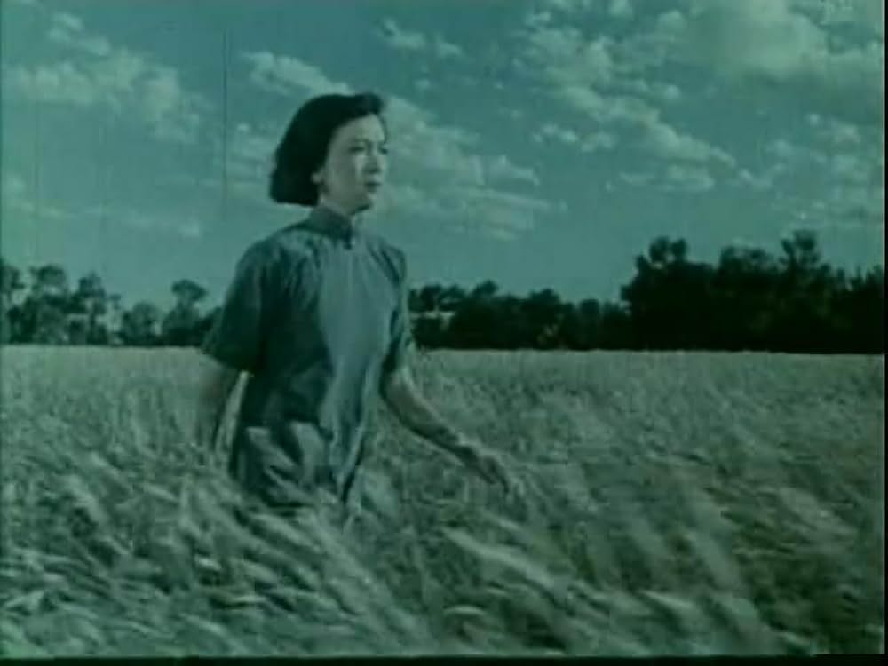 青春の歌の画像