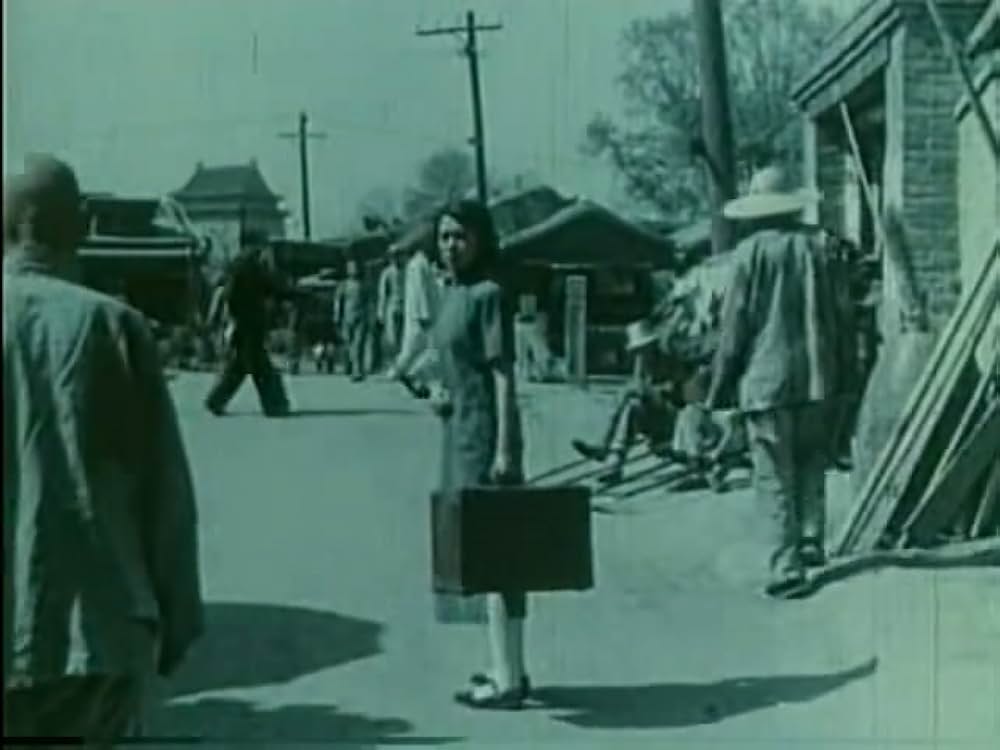 青春の歌の画像