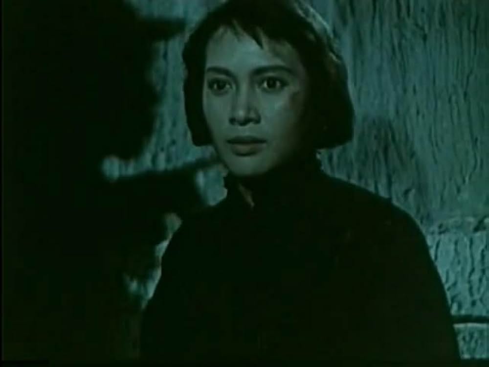 青春の歌の画像