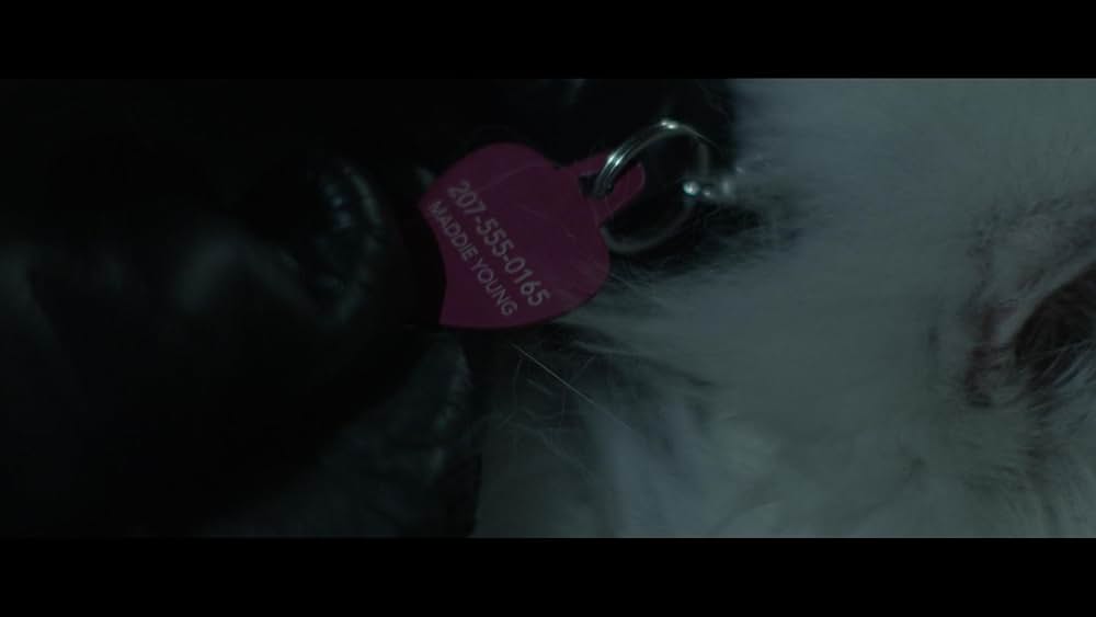 サイレンスの画像