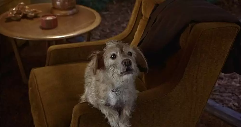 俺たちニュースキャスターの画像