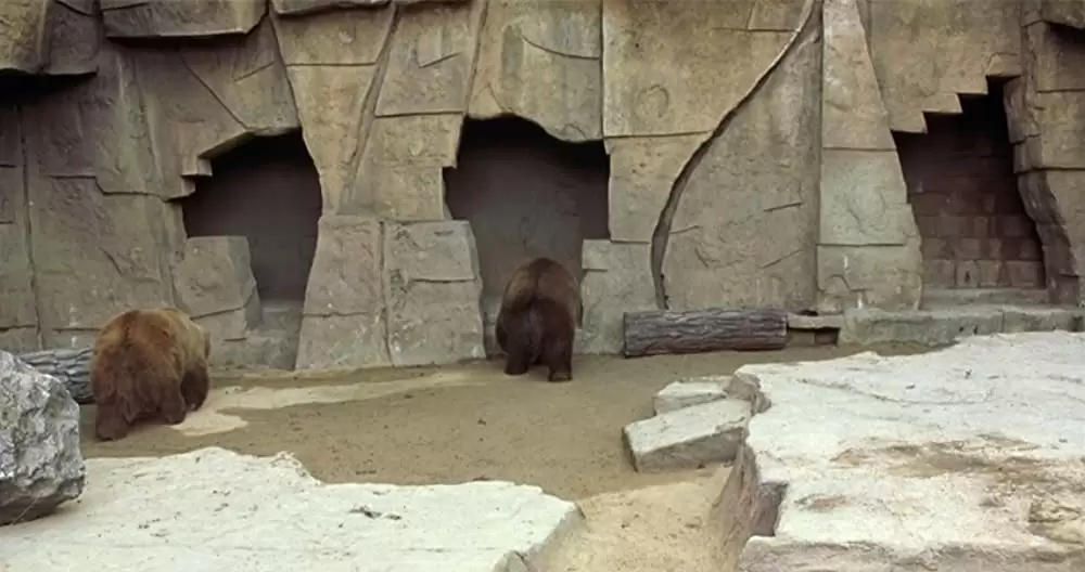 俺たちニュースキャスターの画像