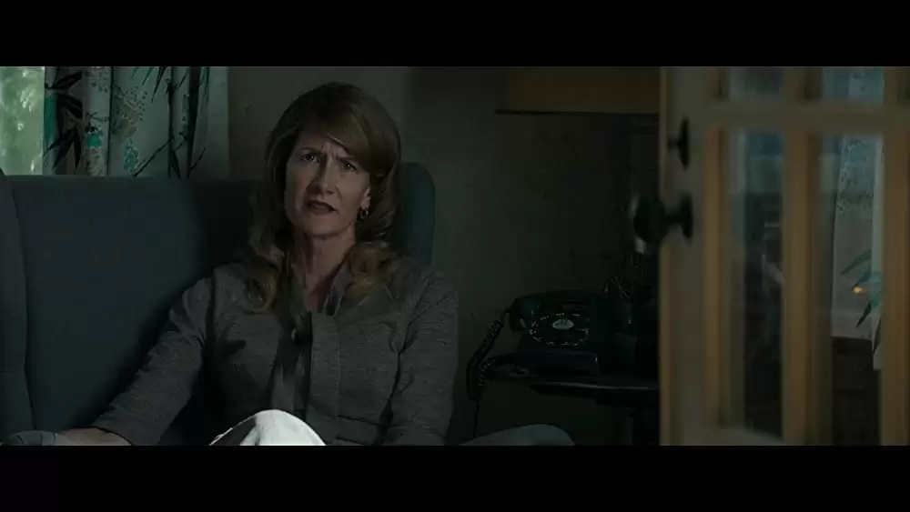 「ファウンダー ハンバーガー帝国のヒミツ」ローラ・ダーンの画像