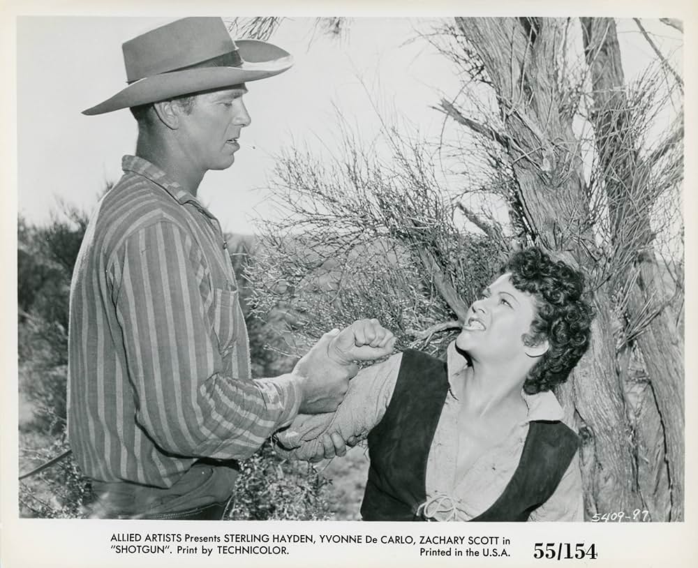 死闘の丘の写真