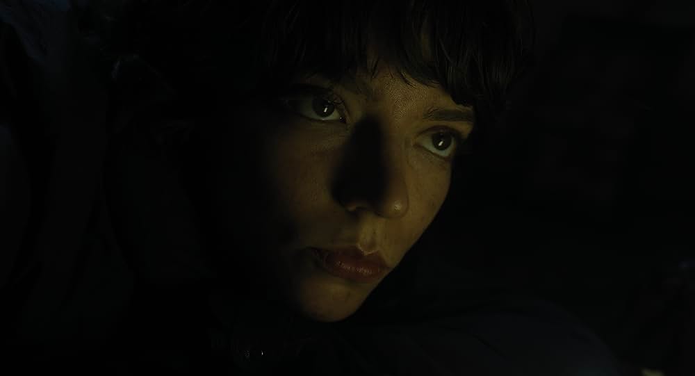 深い谷の間にの画像